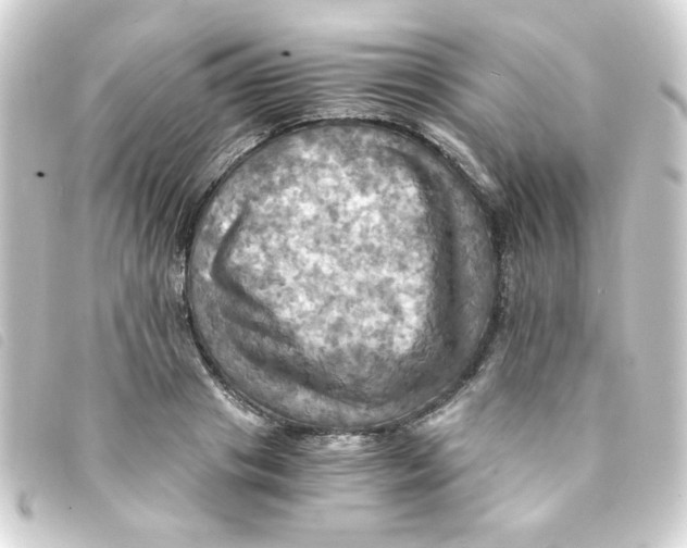 X0000093240841200710241254