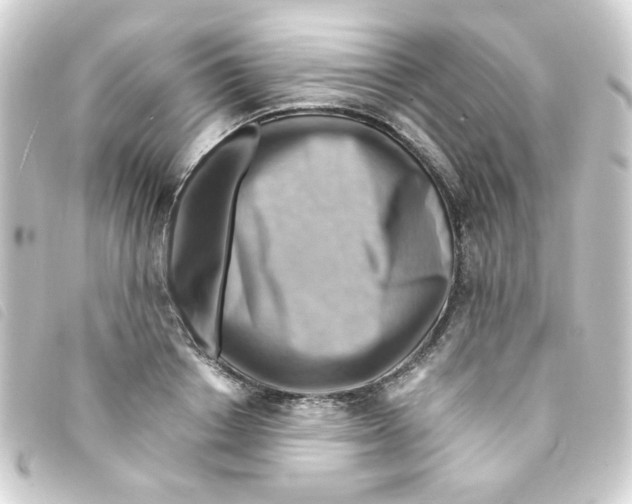 X0000093240842200710241254