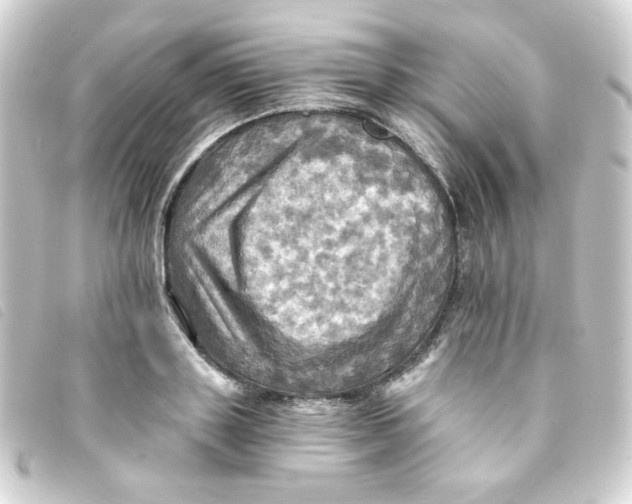 X0000093240843200710241254