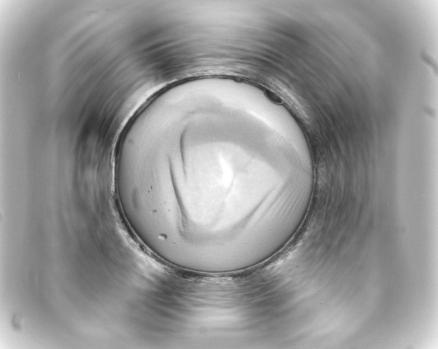 X0000093240844200710241254