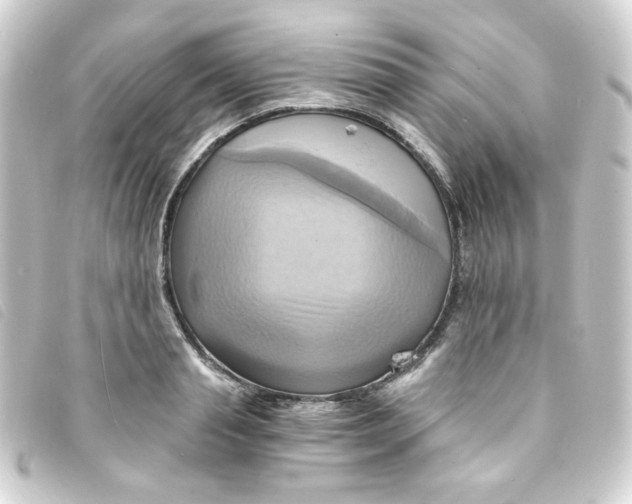 X0000093240845200710241254