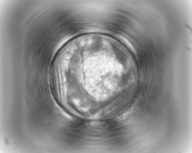 X0000093240847200710241254