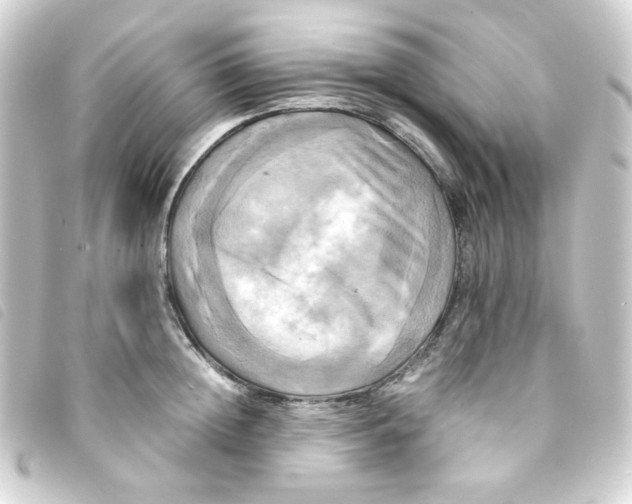 X0000093240852200710241254