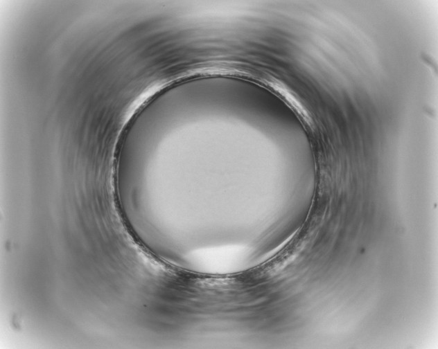 X0000093240853200710241254