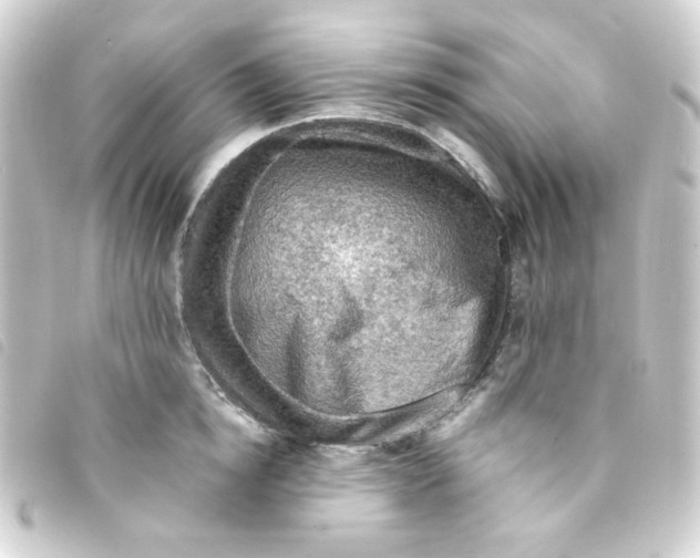 X0000093240854200710241254