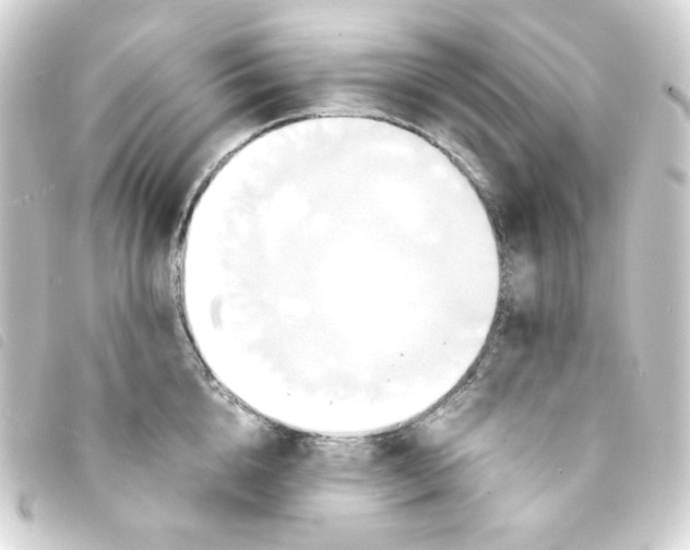 X0000093240856200710241254