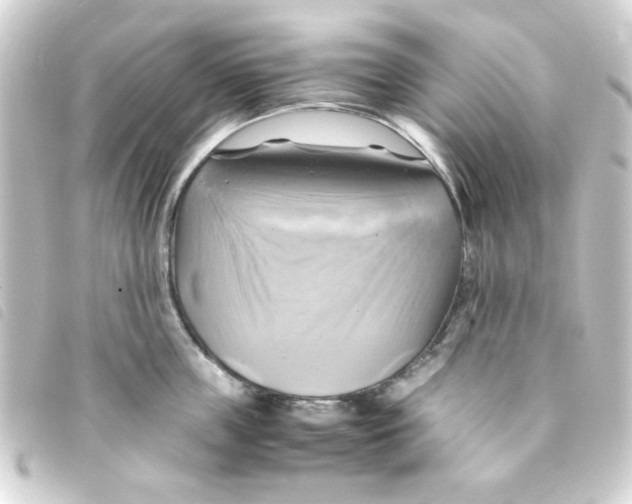 X0000093240859200710241254