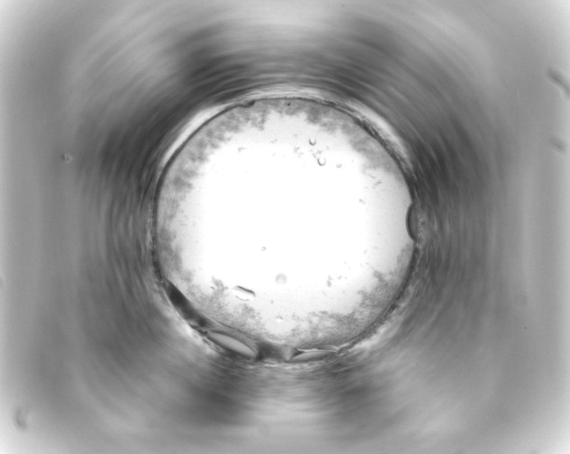 X0000093240860200710241254