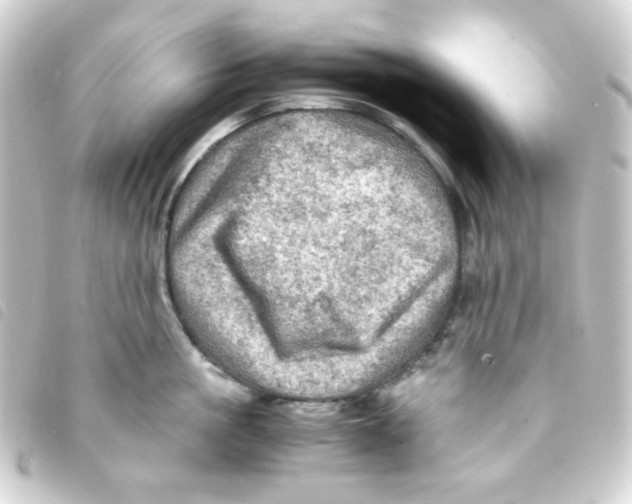 X0000093240861200710241254