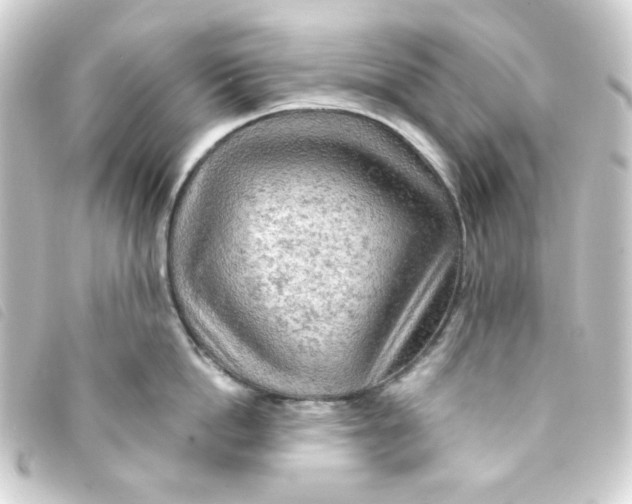 X0000093240862200710241254