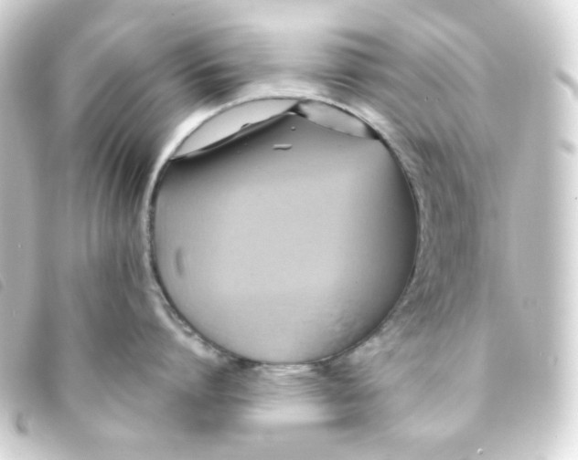 X0000093240864200710241254