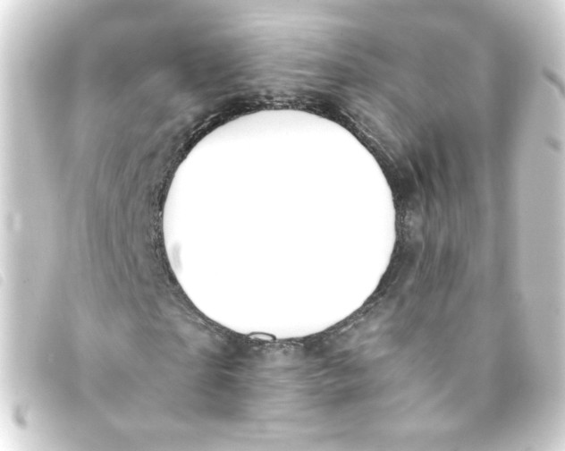 X0000093240865200710241253