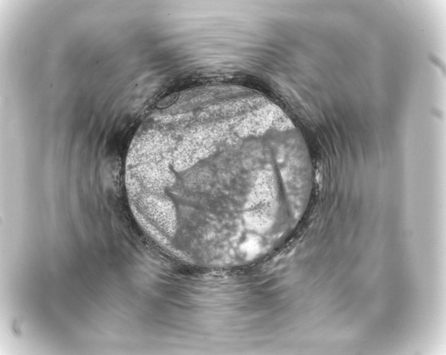 X0000093240867200710241253