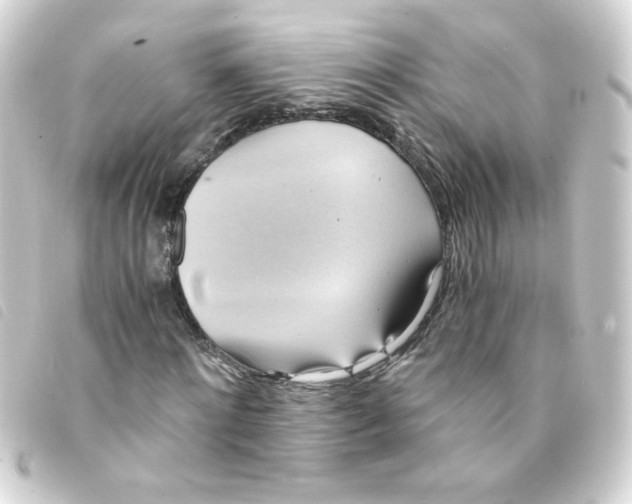 X0000093240868200710241253