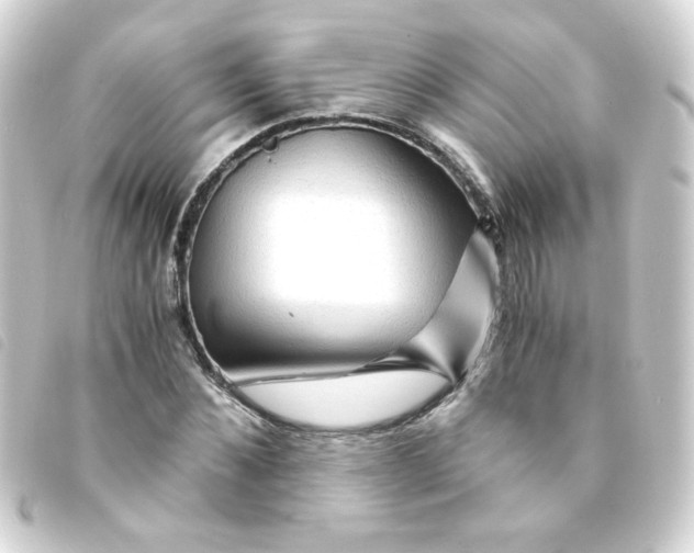 X0000093240876200710241253