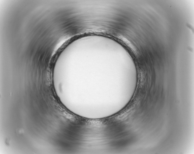 X0000093240878200710241253