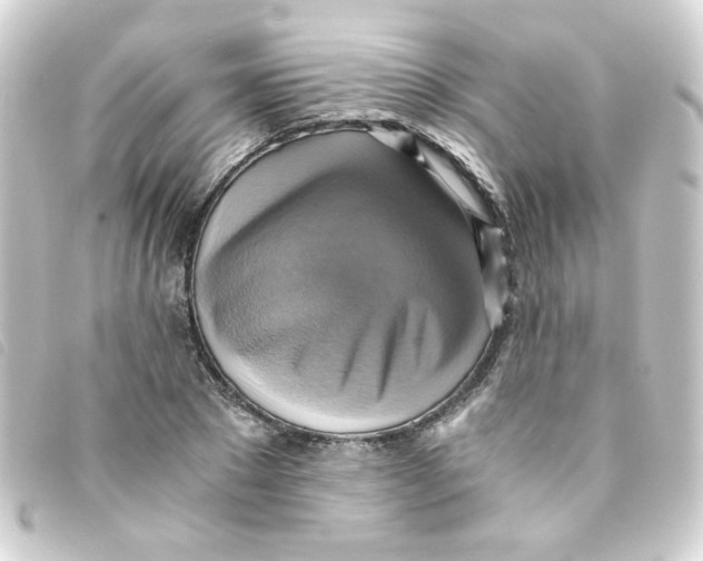 X0000093240881200710241253