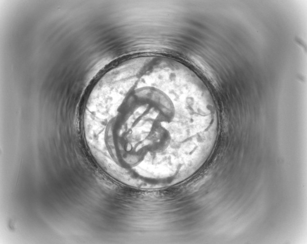 X0000093240883200710241253