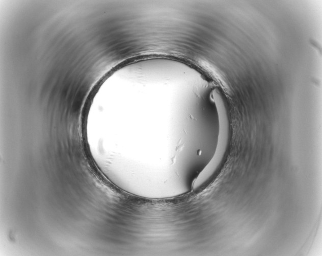 X0000093240884200710241253