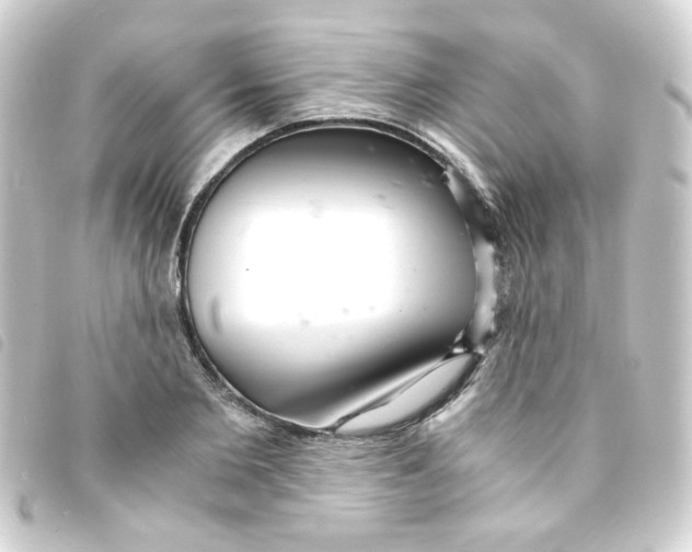 X0000093240885200710241253