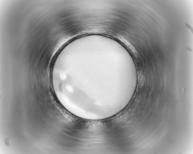 X0000093240886200710241253