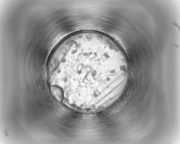 X0000093240887200710241253