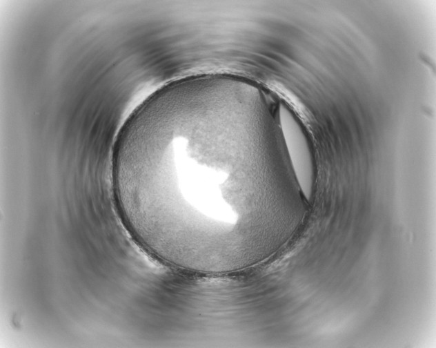 X0000093240894200710241253