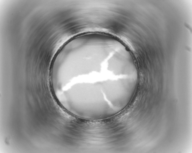 X0000093240895200710241253