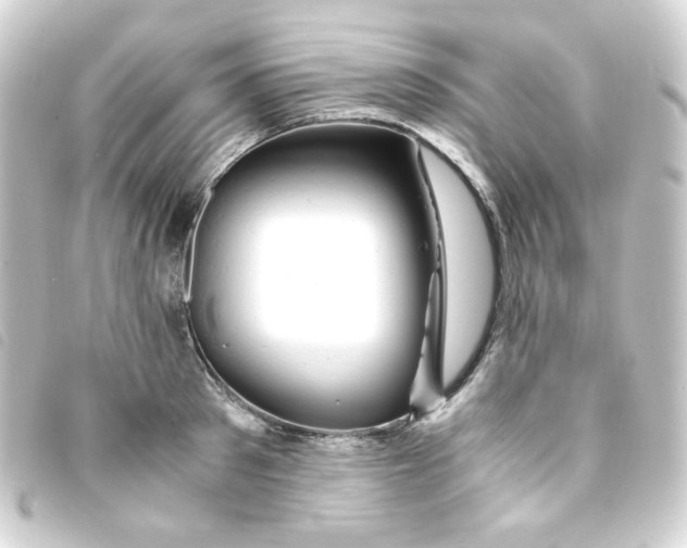 X0000093240897200710241253