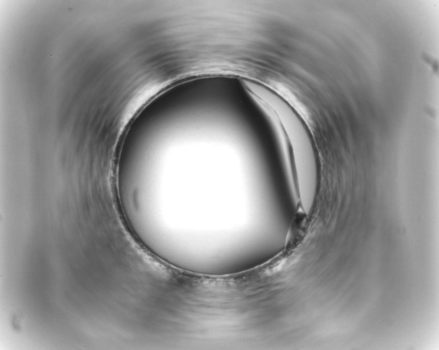 X0000093240901200710241253