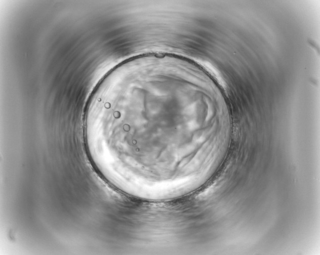 X0000093240903200710241253