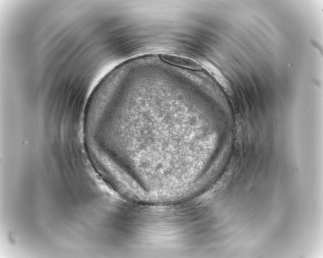 X0000093240904200710241253