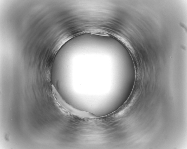 X0000093240905200710241253