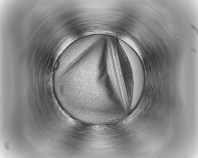 X0000093240906200710241253