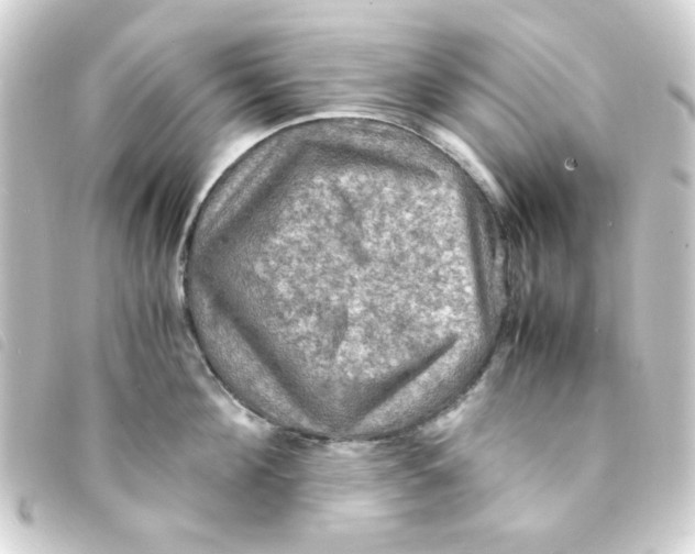 X0000093240908200710241253