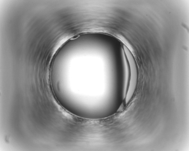 X0000093240909200710241253