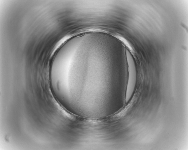 X0000093240910200710241253