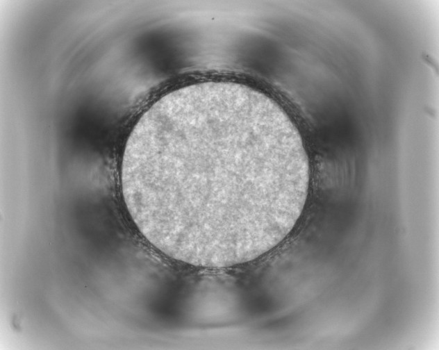 X0000093240918200710241252