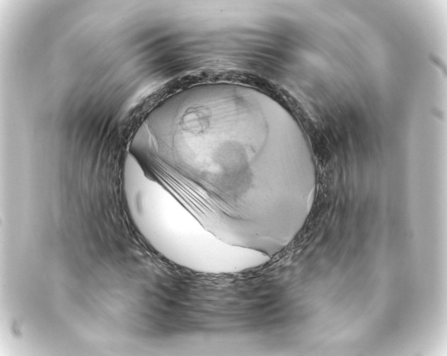 X0000093240919200710241252