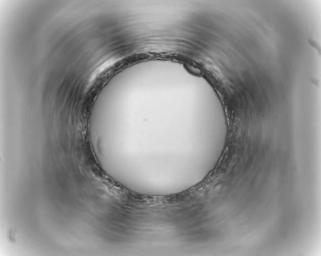 X0000093240920200710241252