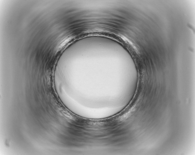 X0000093240921200710241252