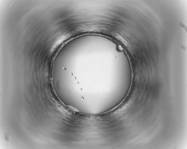 X0000093240922200710241252