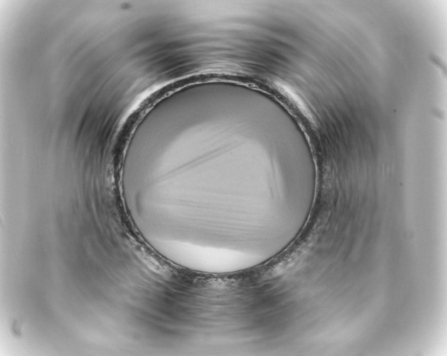 X0000093240923200710241252