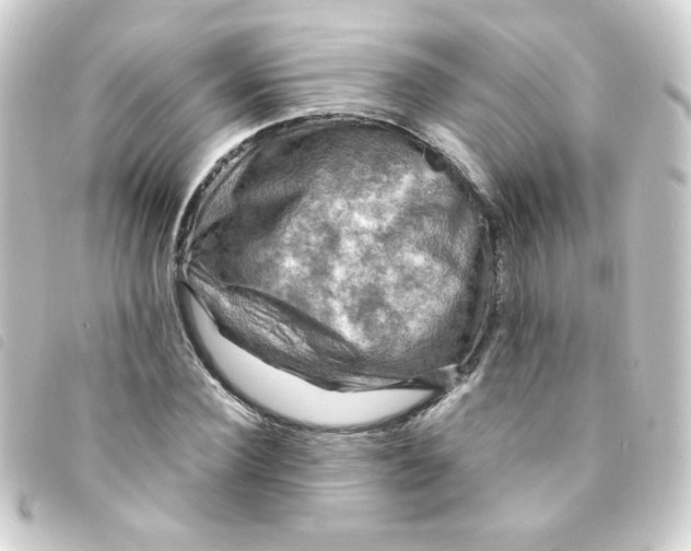 X0000093240924200710241252