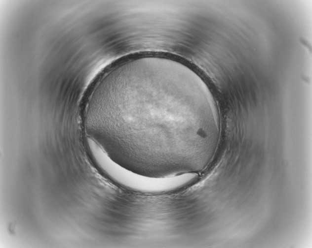 X0000093240926200710241252