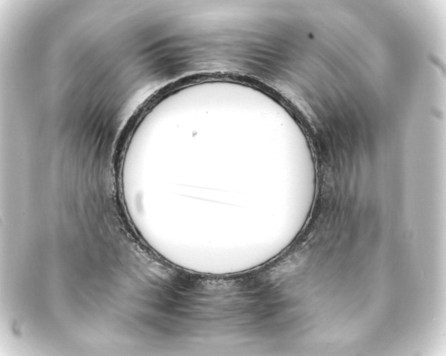 X0000093240927200710241252