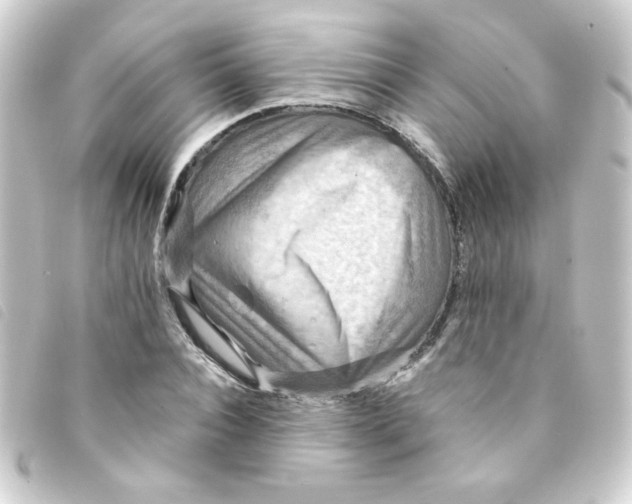 X0000093240928200710241252