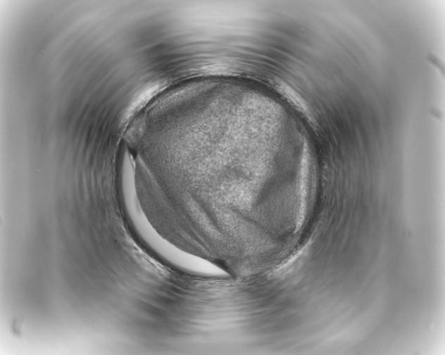 X0000093240930200710241252