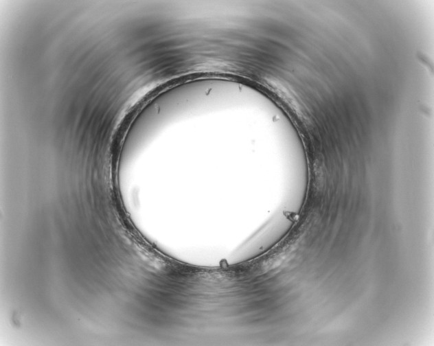 X0000093240931200710241252