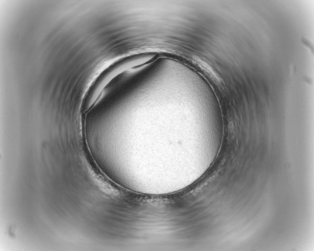 X0000093240934200710241252